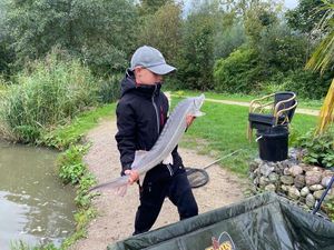 Dabry's Sturgeon