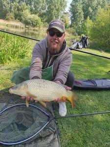 Common Carp