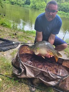 Mirror Carp