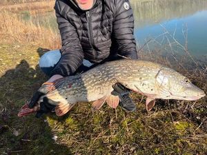 Northern Pike