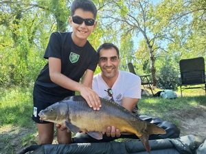 Mirror Carp