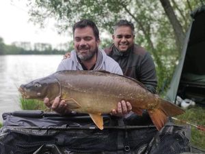 Mirror Carp