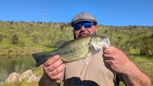 Largemouth Bass