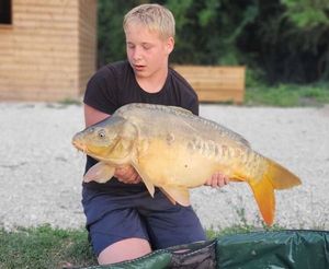 Mirror Carp