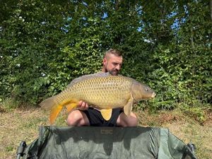 Common Carp