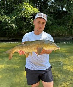 Barbel