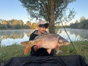 Mirror Carp