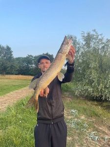 Northern Pike