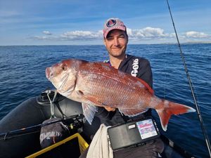 Red Porgy