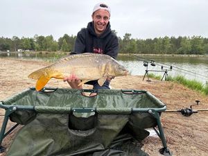 Mirror Carp