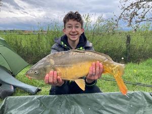 Mirror Carp