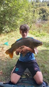 Mirror Carp