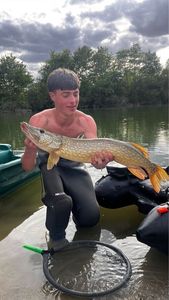 Northern Pike