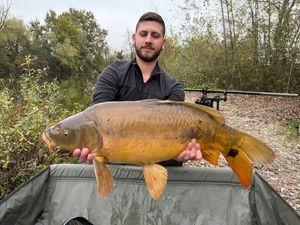 Mirror Carp