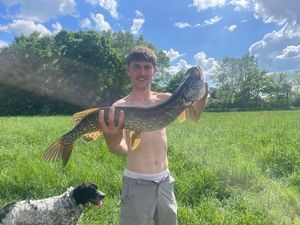 Northern Pike