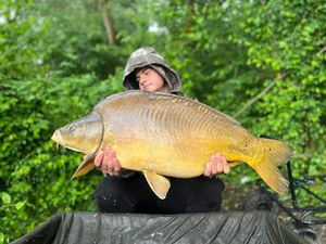 Mirror Carp