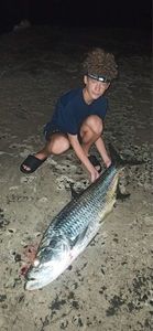 Tarpon