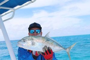 Yellowspoted Trevally