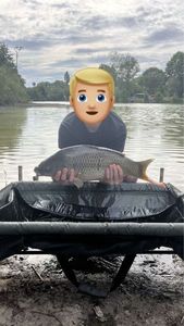 Crucian Carp