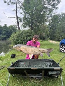 Grass Carp