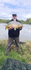Mirror Carp