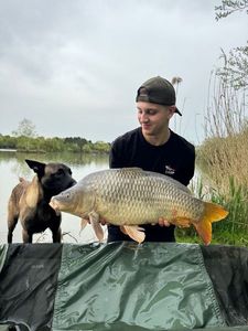 Common Carp