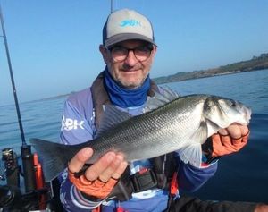 European Bass (Seabass)