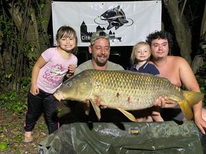 Common Carp