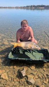 Mirror Carp