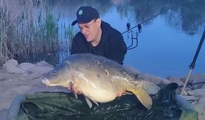 Mirror Carp