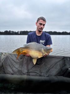 Leather Carp