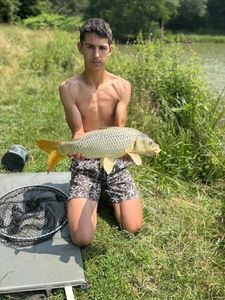 Common Carp
