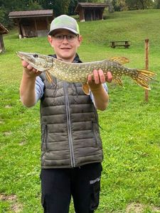 Northern Pike