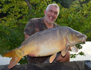 Mirror Carp
