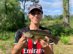 Largemouth Bass