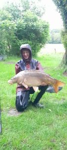 Mirror Carp