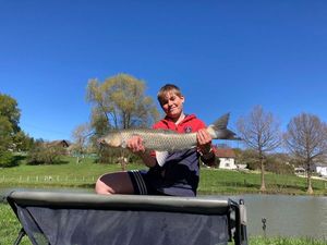 Grass Carp