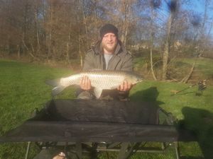 Grass Carp