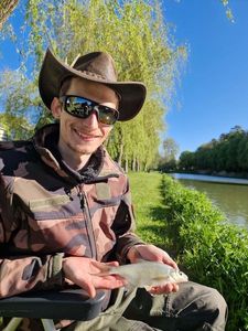 Common Bream