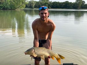 Common Carp