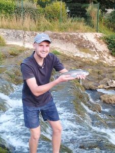 Rainbow Trout