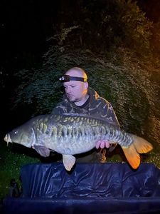 Mirror Carp
