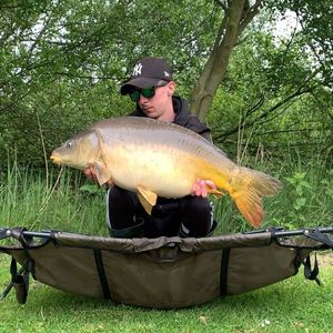 Mirror Carp