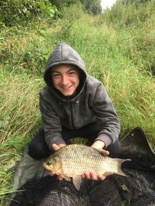 Crucian Carp