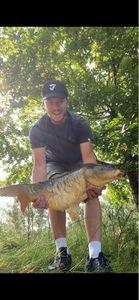 Leather Carp