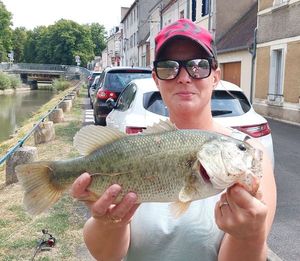 Largemouth Bass