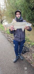 Barbel