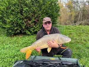 Mirror Carp