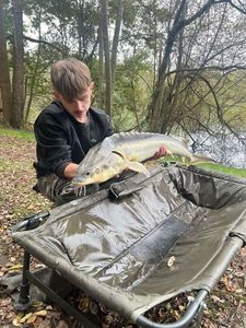 Sturgeon