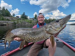 Northern Pike